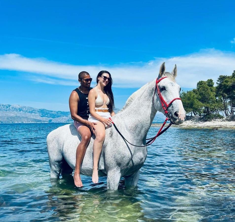 Apartments4You Supetar-The Best And Most Popular Apartments For Discovering The Island - Free Parking - 200 Meters From The Beach Экстерьер фото